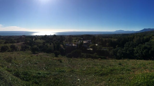 view